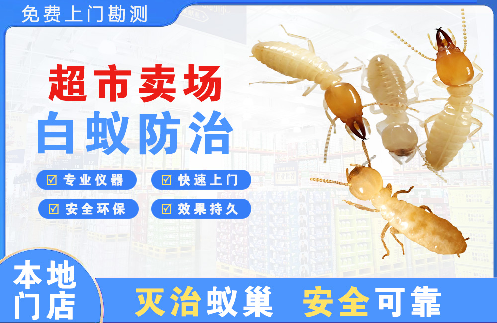江阴超市卖场白蚁防治