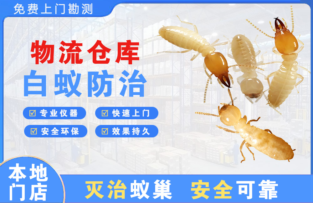 江阴物流仓库白蚁防治