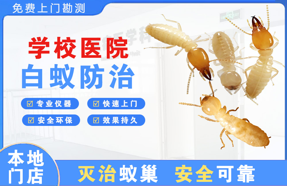 江阴学校医院白蚁防治